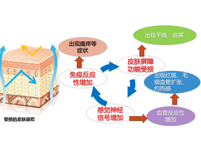 皮肤过敏怎么办