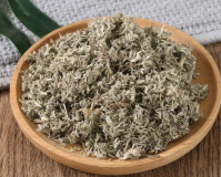 中药菌陈的作用是什么(中药菌陈药效功能)