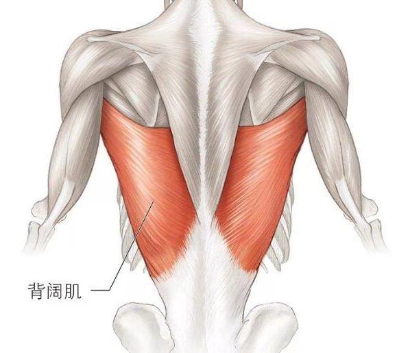 QQ截图20230222145740.jpg