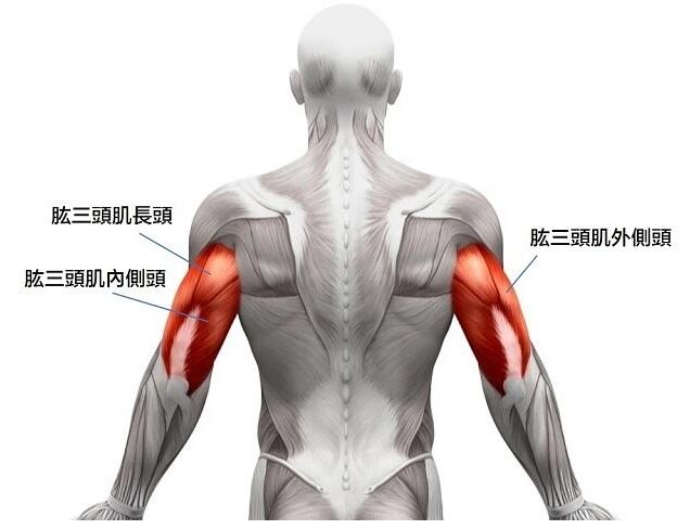 QQ截图20230224160751.jpg