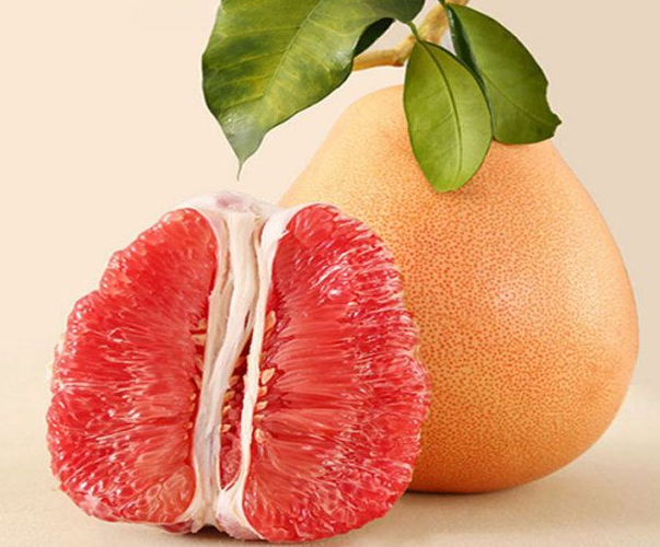 截图20230320112728.png