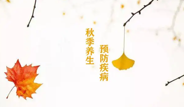 截图20230419134837.png