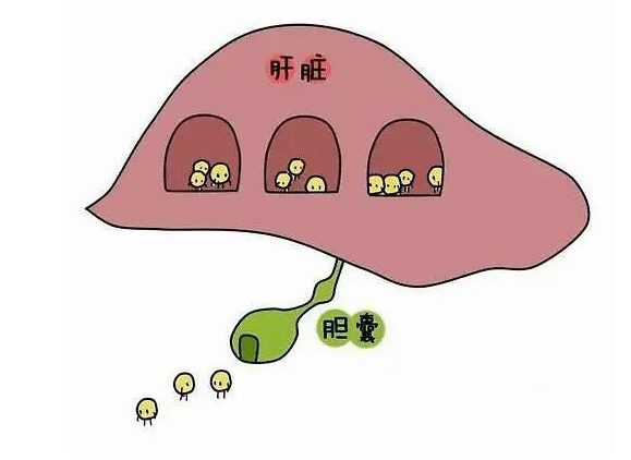 截图20230421162629.png