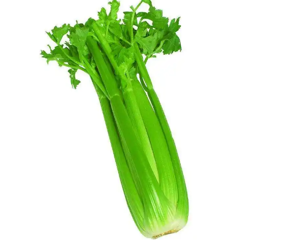 截图20230509134016.png